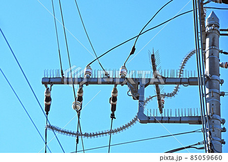 巣作り防止対策の施された電信柱 85059660