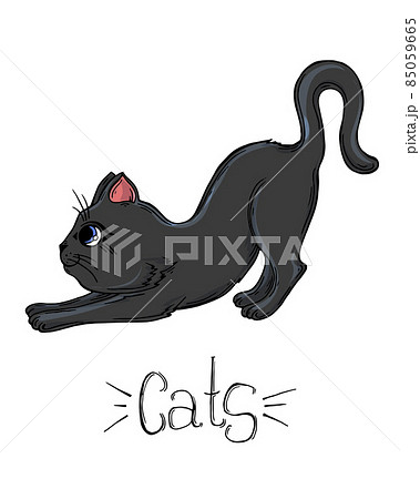 Painted set of black cats in different poses. Painted set of black cats in different poses. 85059665