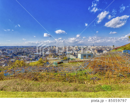 【HDR】柏原市のぶどう畑と市街地の風景 【HDR】柏原市のぶどう畑と市街地の風景 85059797