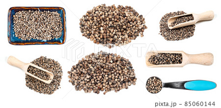 set of monk's pepper (Vitex) cutout on white set of monk's pepper (Vitex) cutout on white 85060144