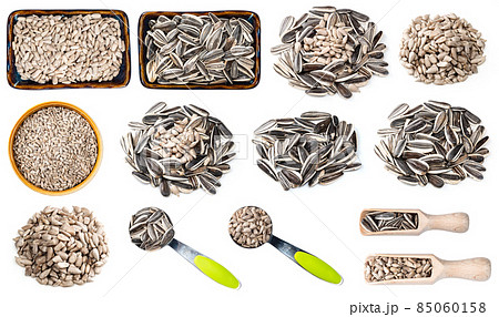 set of various sunflower seeds cutout on white set of various sunflower seeds cutout on white 85060158