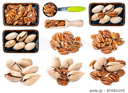 set of various pecan nuts cutout on white set of various pecan nuts cutout on white 85060204