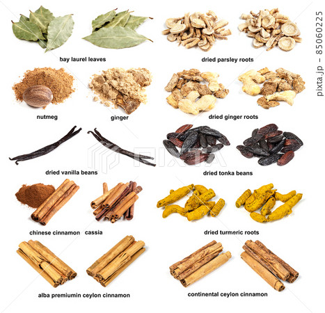 set of various dried flavorings with names cutout 85060225