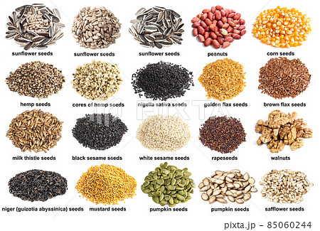 set of piles of variuos oil seeds cutout on white 85060244