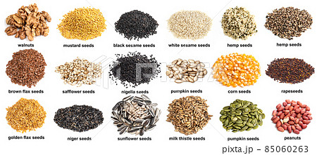 set of piles of variuos oilseeds cutout on white 85060263