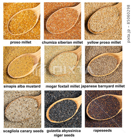 set of various grains for bird's food in spoon 85060298