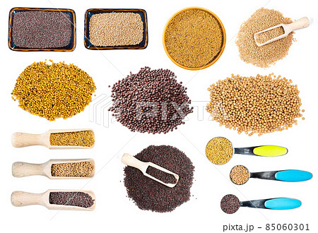 set of various mustard seeds cutout on white 85060301