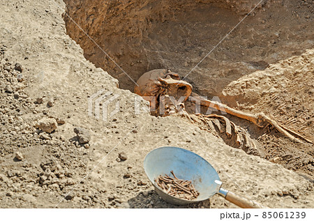 Fragment exhumed human skeleton 85061239