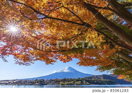 河口湖畔から見る富士山と紅葉 85061283
