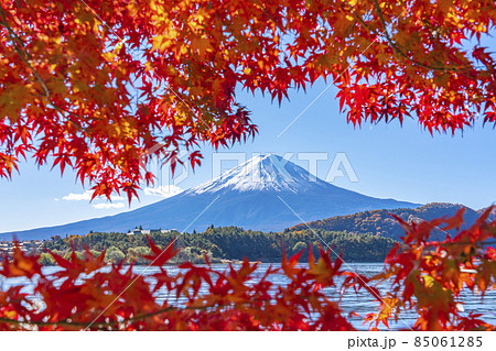 河口湖畔から見る富士山と紅葉 85061285