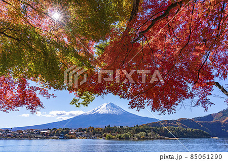 河口湖畔から見る富士山と紅葉 85061290