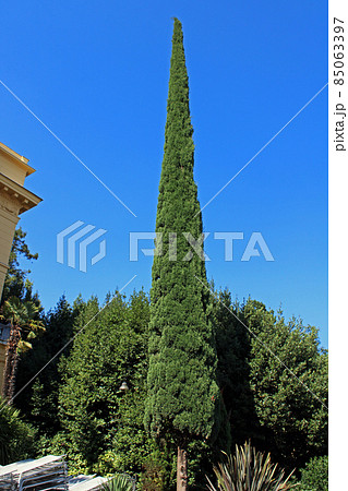 View from Opatija's seaside promenade, Adriatic coast, Kvarner bay, city details, Croatia 85063397