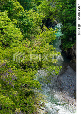 新緑に包まれた手取峡谷 85063507