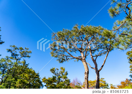 秋の好古園 秋の好古園 85063725