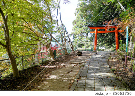 鳳来寺山の紅葉景色_鳳来寺山東照宮 85063756