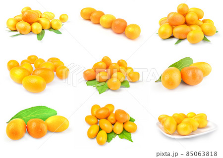 Collage of cumquats close-up isolated on white background 85063818