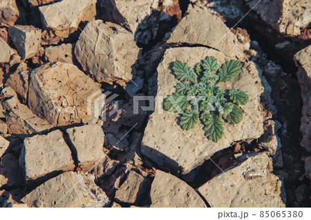 Global warming and greenhouse effect concept. 85065380