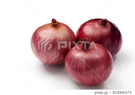 白バックのアーリーレッドこと紫玉ねぎ 85066074