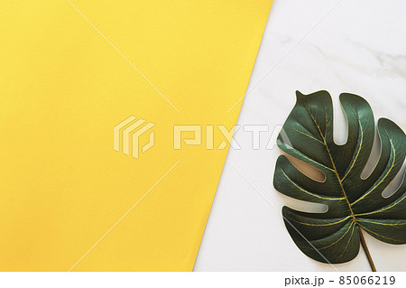Tropical green leaf on white marble texture and yellow wall abstract background. 85066219