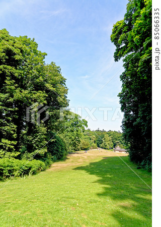 Culzean Park in summertime - Scotland Culzean Park in summertime - Scotland 85066335