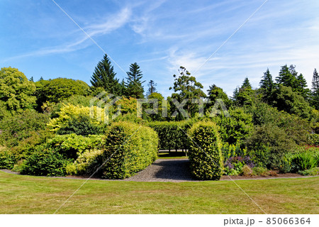 Culzean Park in summertime - Scotland Culzean Park in summertime - Scotland 85066364