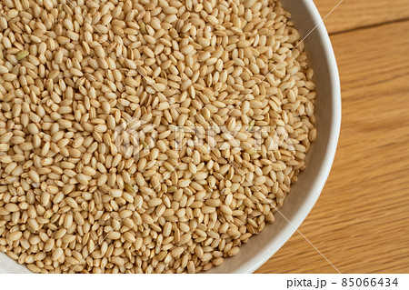 もち米の玄米　新米　（11月） 85066434