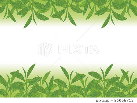 ボタニカル柄 葉っぱの上下 白緑のイラスト素材