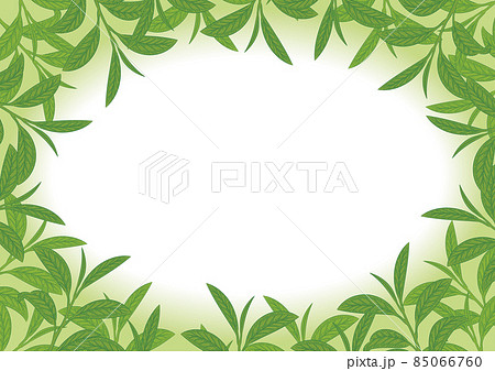 ボタニカル柄 葉っぱの円 白緑のイラスト素材