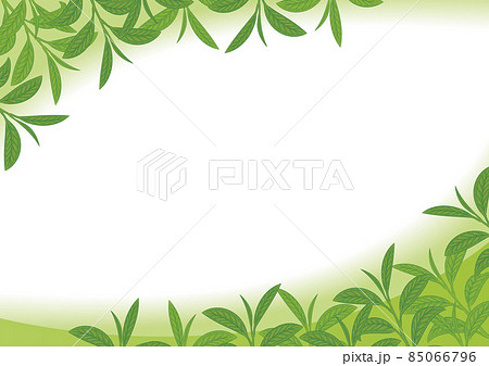 ボタニカル柄 葉っぱの左上右下 白緑のイラスト素材
