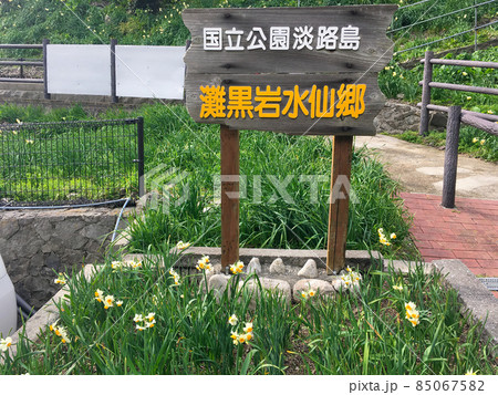 国立公園淡路島　灘黒岩水仙郷　の　表示板／看板 85067582
