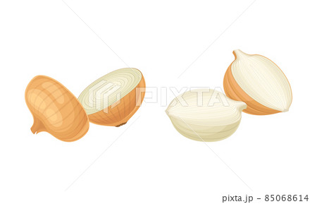 Fresh sliced yellow onion bulbs set vector illustratio Fresh sliced yellow onion bulbs set vector illustratio 85068614