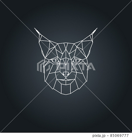 Lynx head. 85069777