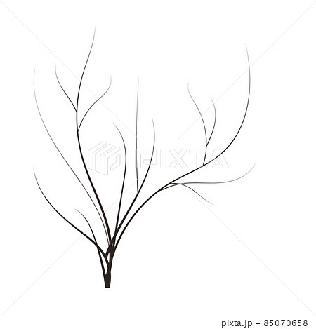 bald handdraw tree vector illustration element for game design. winter tree without crown. dead tree bald handdraw tree vector illustration element for game design. winter tree without crown. dead tree 85070658