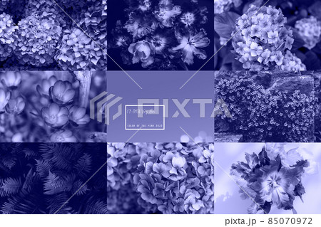 Collage of purple very peri photos Collage of purple very peri photos 85070972