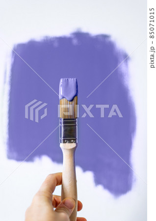 Choosing wall paints 85071015