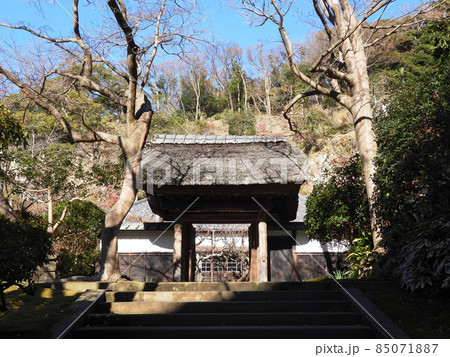 円覚寺　Engakuji temple 85071887