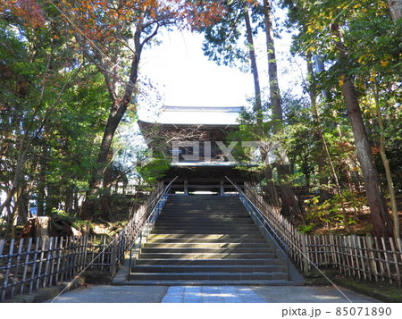 円覚寺　Engakuji temple 85071890