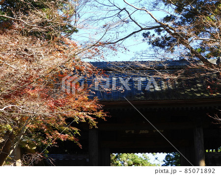 円覚寺　Engakuji temple 85071892