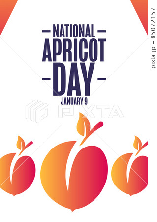 National Apricot Day. January 9. Holiday concept. Template for background, banner, card, poster with 85072157