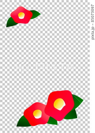 Postcard camellia illustration Postcard camellia illustration 85073097