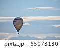 空に浮かぶ熱気球と鳥の群れ 85073130