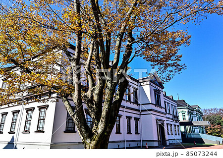 紅葉の国立工芸館 紅葉の国立工芸館 85073244