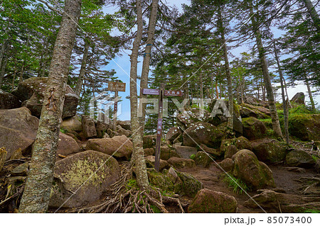 夏の北八ヶ岳 中山峠の山頂標識 85073400