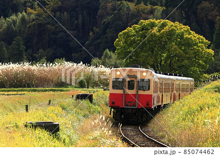 紅葉の小湊鉄道 85074462