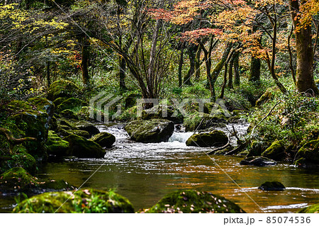 荒俣峡の紅葉 荒俣峡の紅葉 85074536