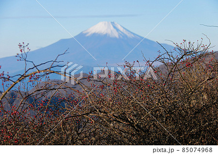 冬の丹沢　丹沢山山頂からの絶景　朝の澄んだ空気の中の富士山 85074968