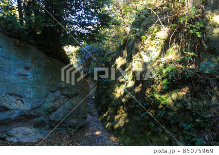 鎌倉　名越切通　まんだら堂やぐら群 85075969