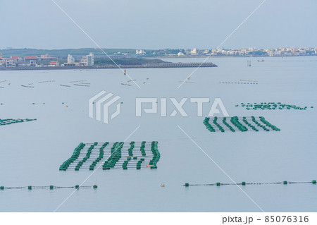 Many oyster farm on the sea Many oyster farm on the sea 85076316