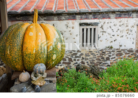 Antique rock house in Penghu island Antique rock house in Penghu island 85076660