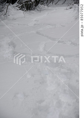 雪上トレース 85077052